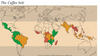 From Highlands to Heartlands: The Rich Diversity of African Coffees